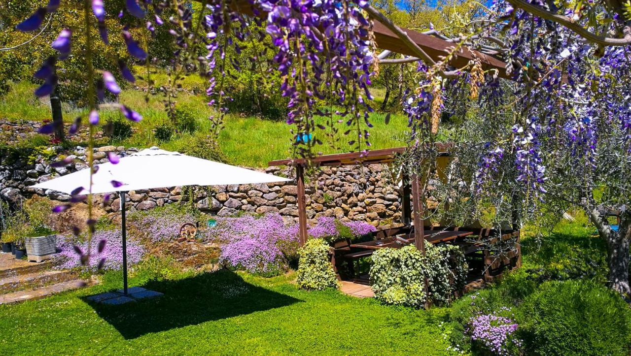 Podere Pontepietra Soriano nel Cimino Exteriér fotografie