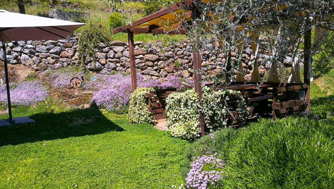 Podere Pontepietra Soriano nel Cimino Exteriér fotografie